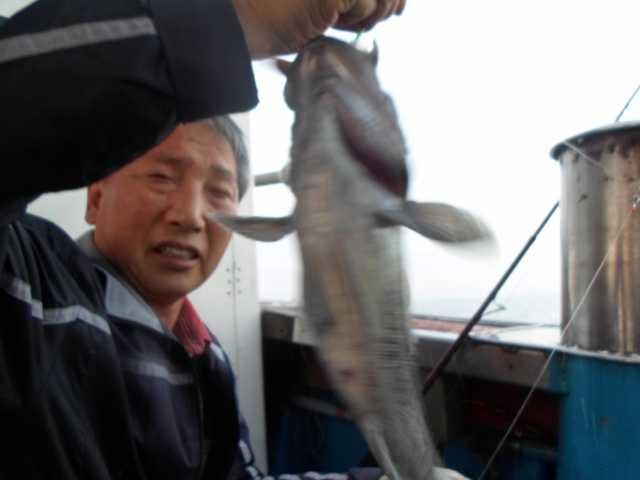 9월5일 조황 사진 9