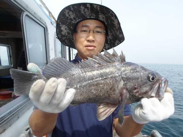 7일 조황 사진 19