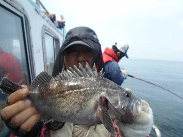 7일 조황 사진 28
