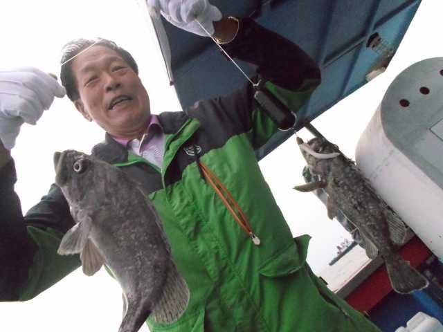 17일 굿조황 사진 13