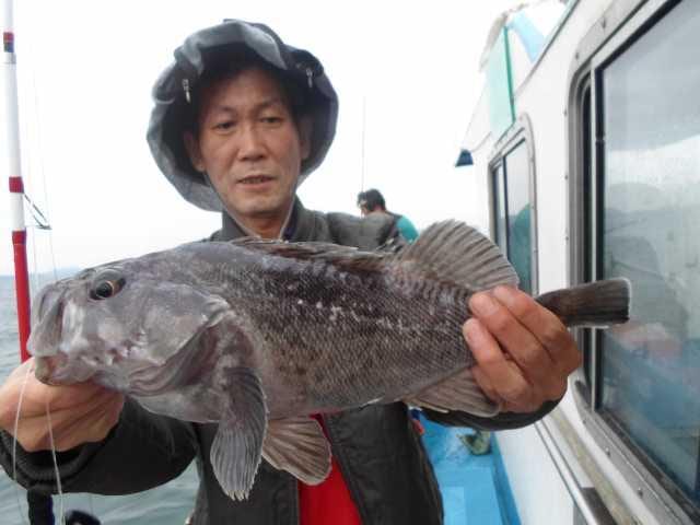 17일 굿조황 사진 15