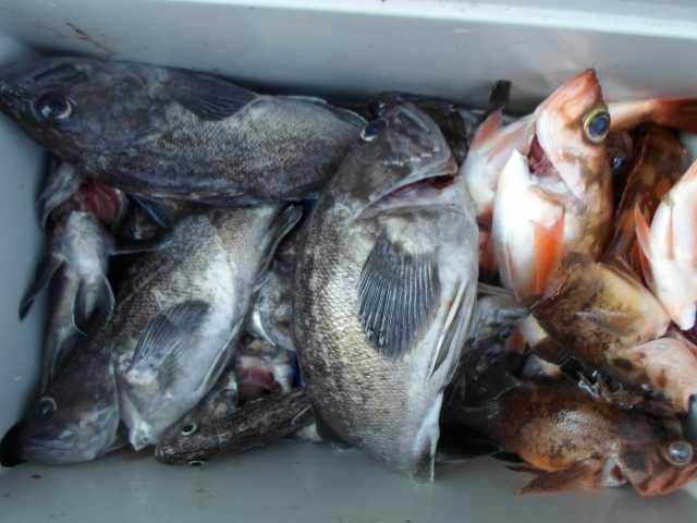 21일 단체조황 사진 17