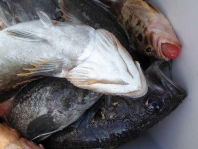 21일 단체조황 사진 18