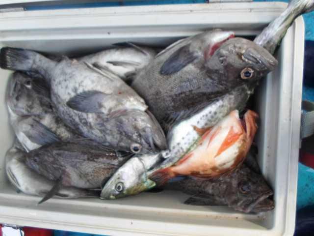 21일 단체조황 사진 19