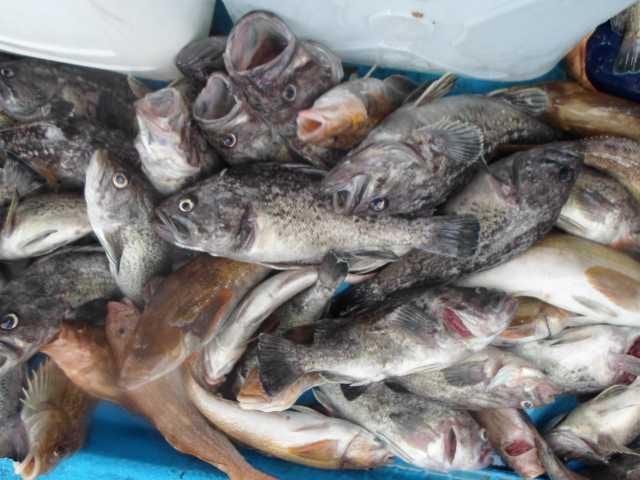 27일 단체조황 사진 1