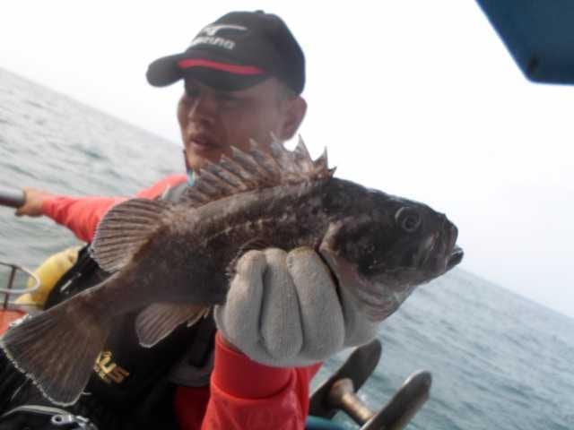 27일 단체조황 사진 2