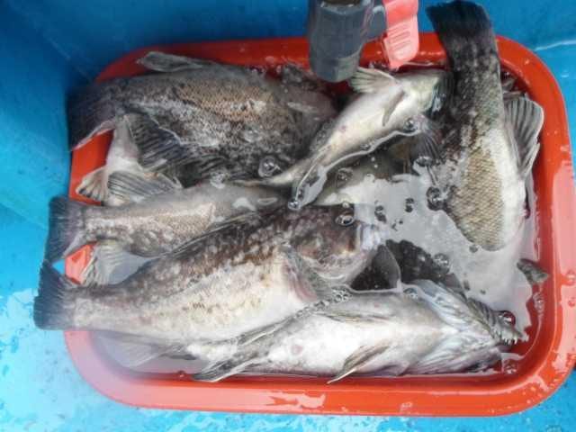 27일 단체조황 사진 9