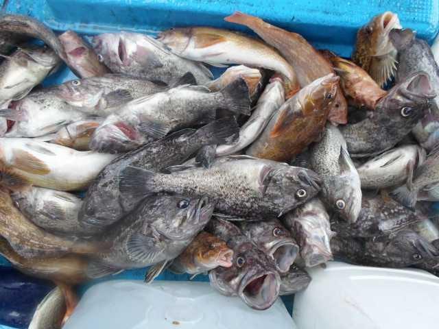 27일 단체조황 사진 10