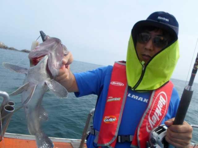 27일 단체조황 사진 16
