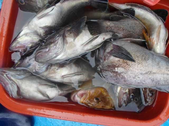 27일 단체조황 사진 17