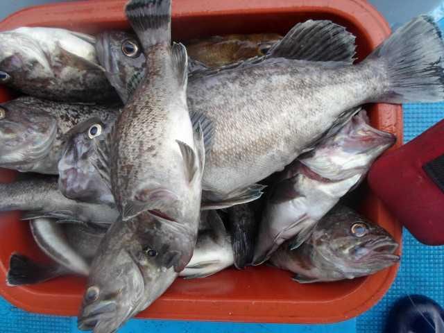 27일 단체조황 사진 19