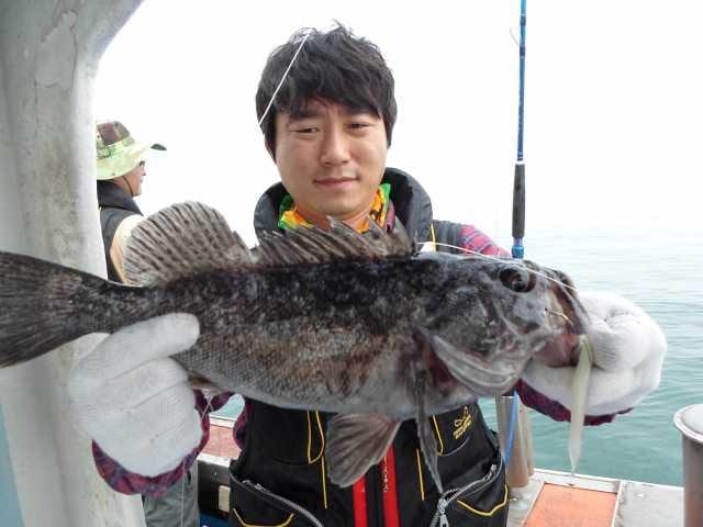 28일조황 사진 4