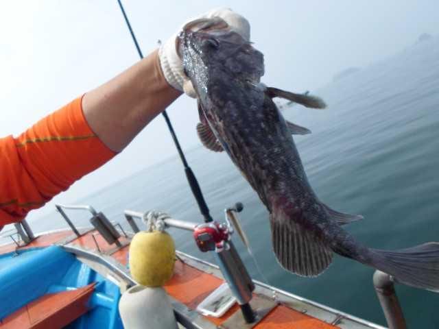 28일조황 사진 8