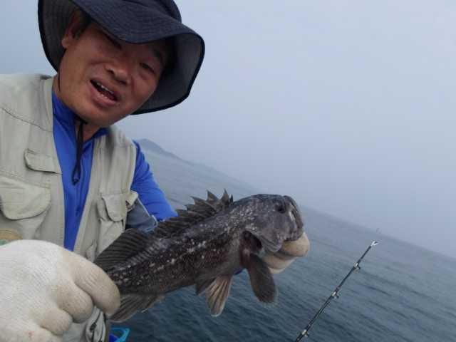 28일조황 사진 13