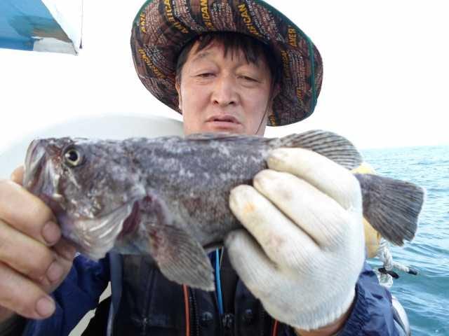 10월1일 조황 사진 10