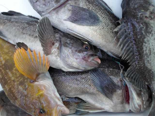 4일 단체조황 사진 9