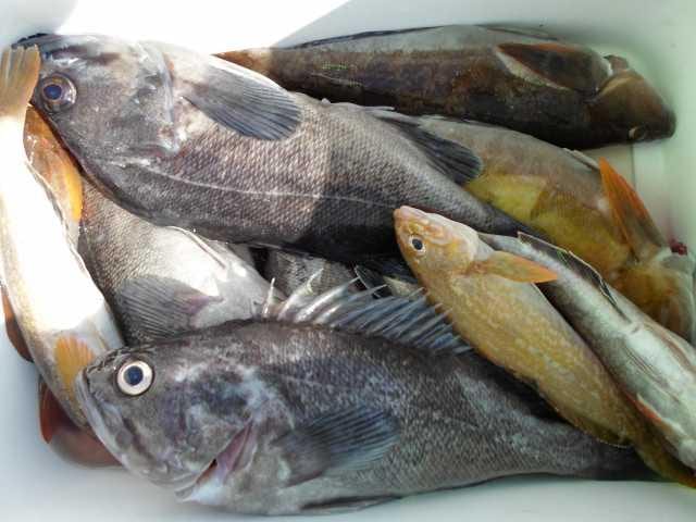 4일 단체조황 사진 10