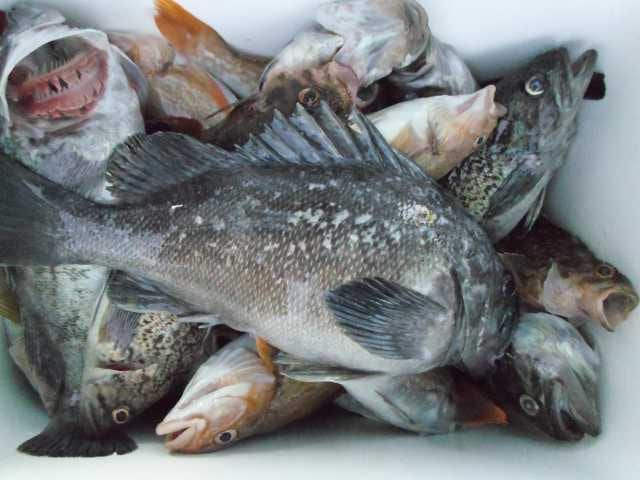 4일 단체조황 사진 13