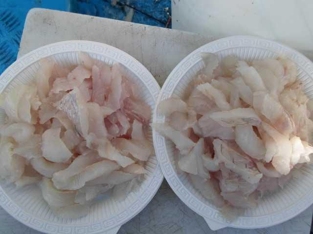 5일 단체 조황 사진 2