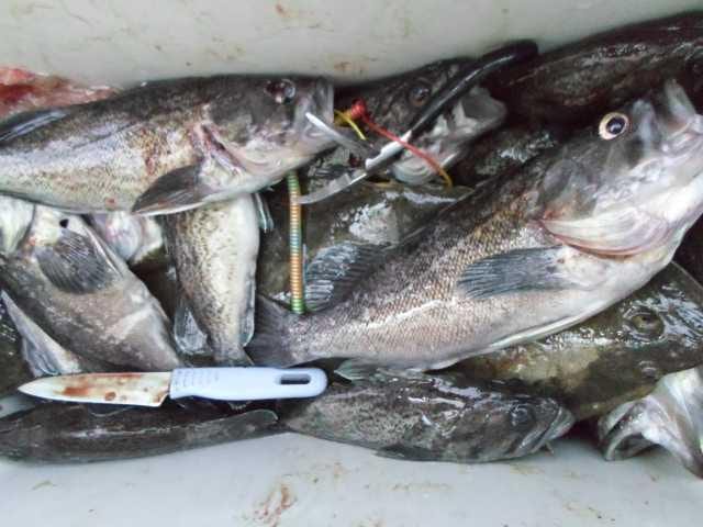 15일조황 사진 6