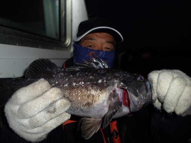 15일조황 사진 8