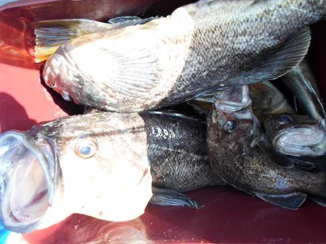 18일 단체조황 사진 16