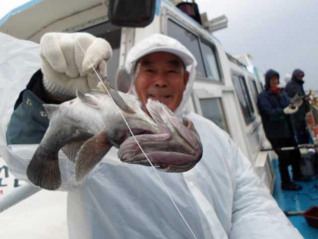 31일 조황 사진 4