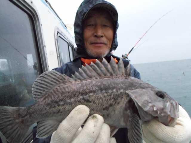 31일 조황 사진 5