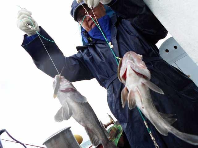 31일 조황 사진 7