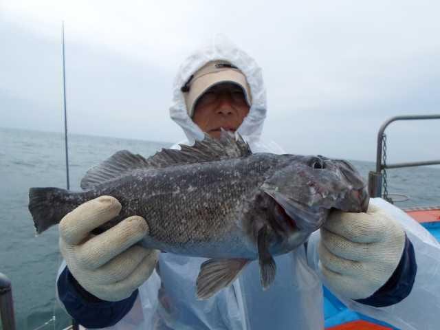31일 조황 사진 9