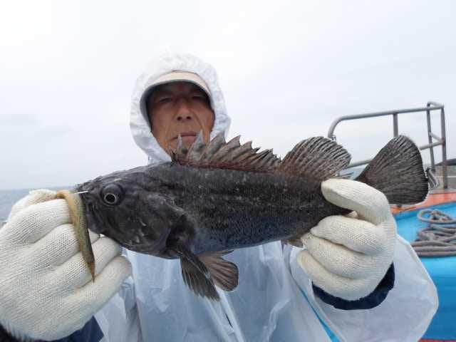 31일 조황 사진 13