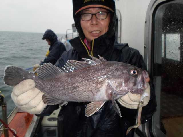 31일 조황 사진 23