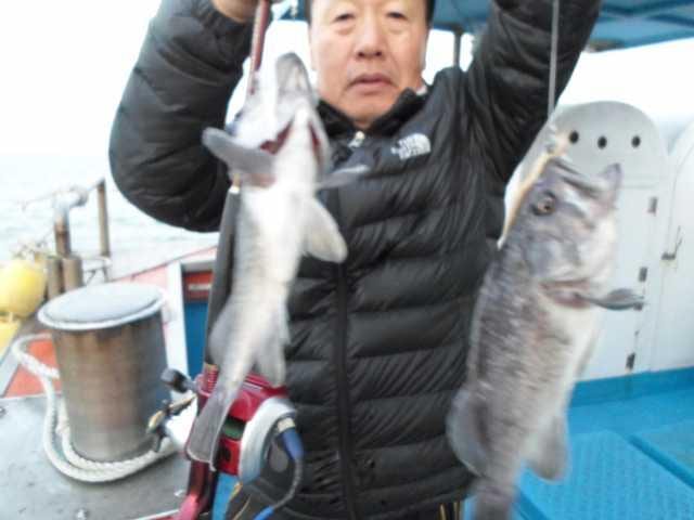9일 조황 사진 6
