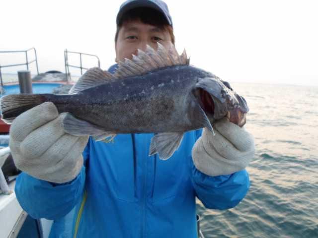 9일 조황 사진 11