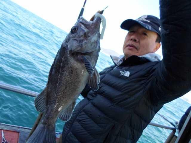 15일 조황 사진 13