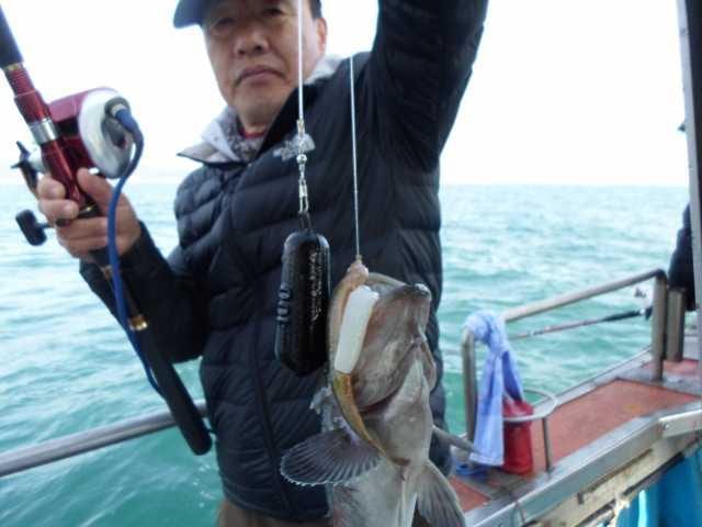 15일 조황 사진 14