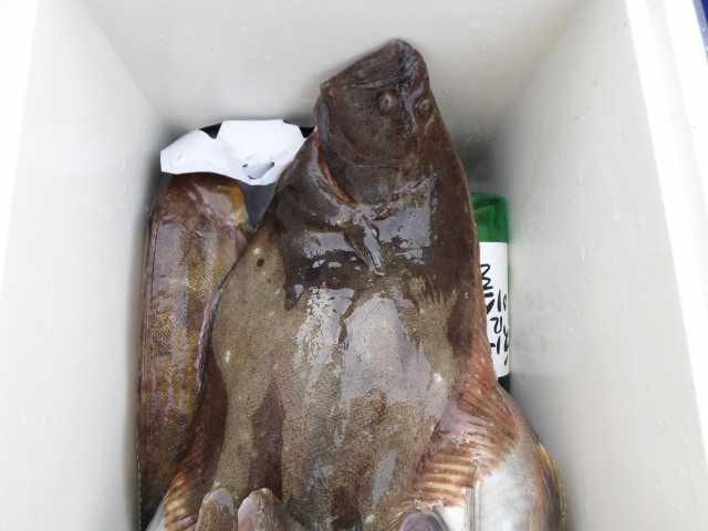 15일 조황 사진 22