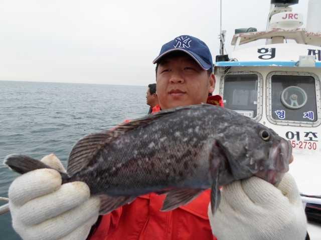 16일 단체조황 사진 15