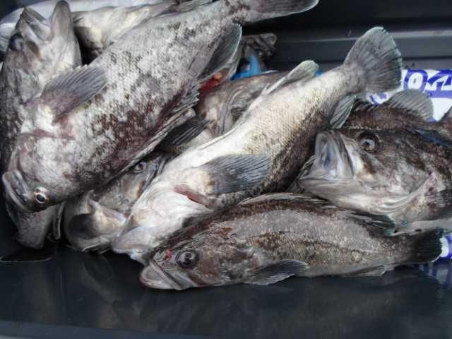 16일 단체조황 사진 16