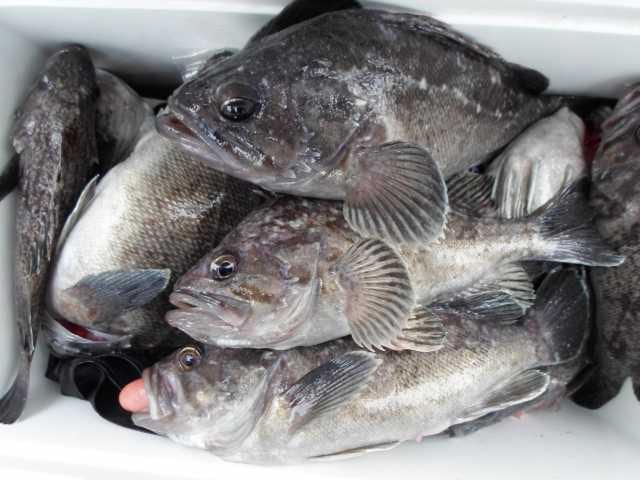 16일 단체조황 사진 2