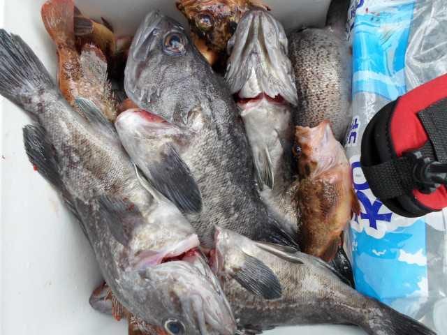 16일 단체조황 사진 17