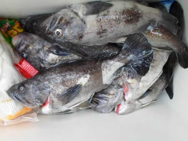 16일 단체조황 사진 3