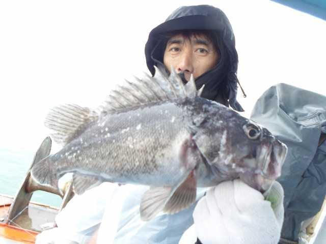 11월30일 조황 사진 15