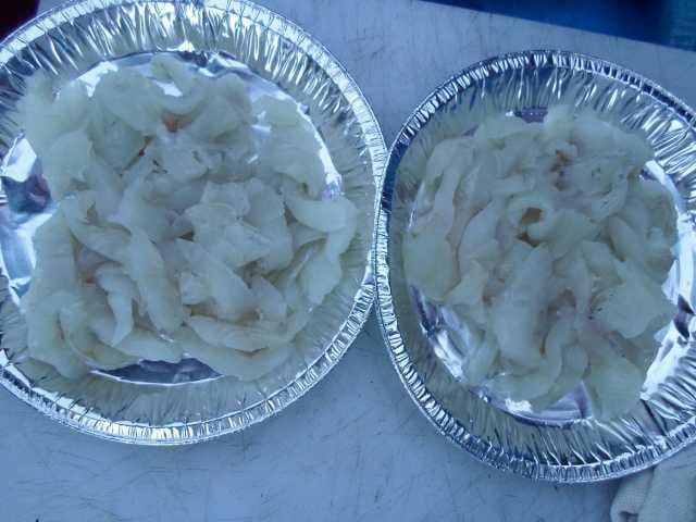 25일놀리팀 조황 사진 3