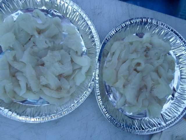 25일놀리팀 조황 사진 7