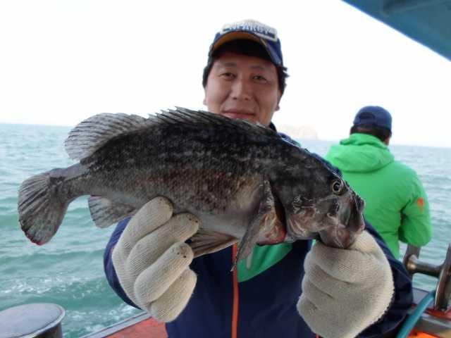26일 단체조황 사진 2