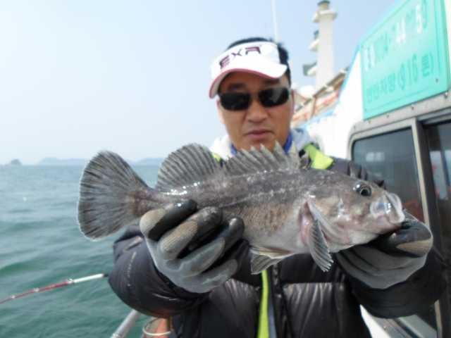 26일 단체조황 사진 15