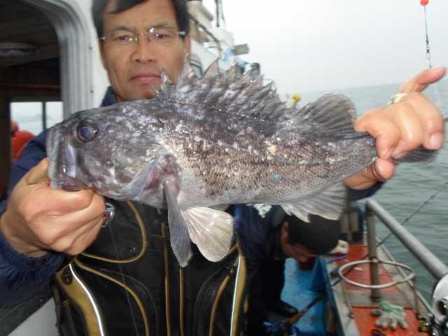 29일 5분 단체조황 사진 16