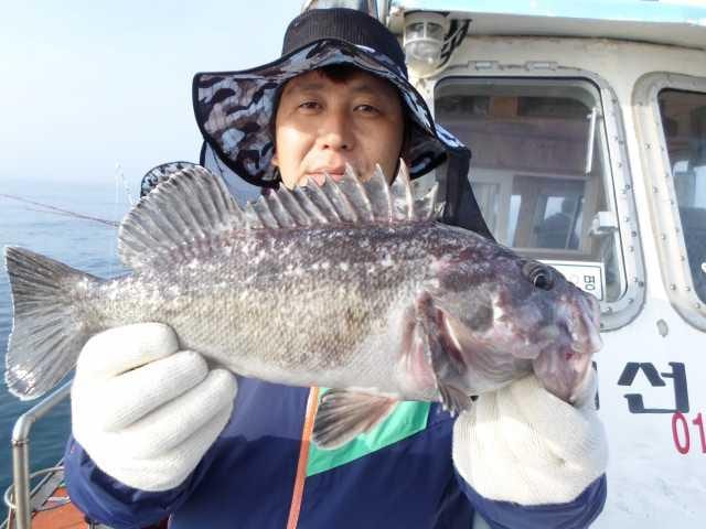 2일조항 사진 5