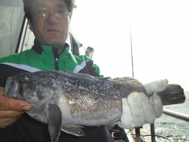 17일 조황 사진 4